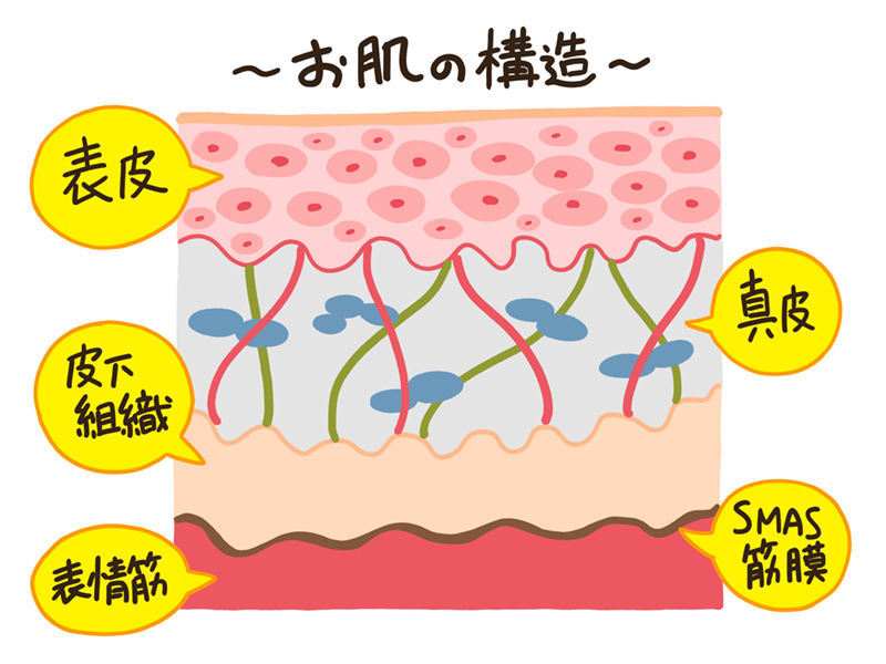 医療ハイフの効果は メリット デメリット 持続期間を分かりやすく解説 ハイフのホンネ